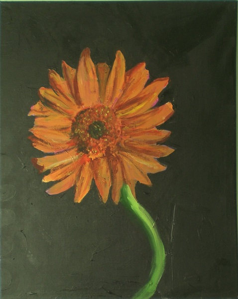 Single Gerbera